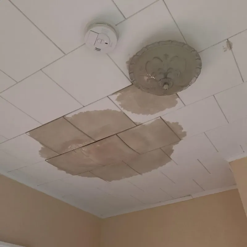 Ceiling Water Damage Repair in Green Meadows, OH