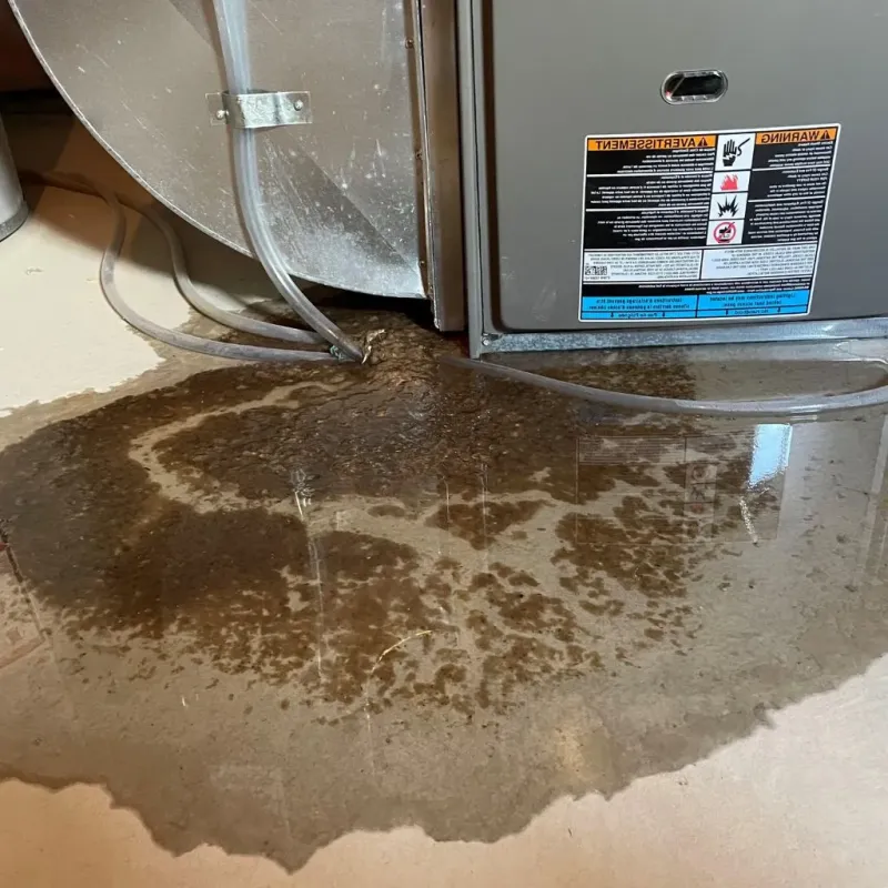 Pipe Burst and Leak Restoration in Green Meadows, OH